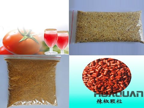 奔走在沙海、雪山的邊緣