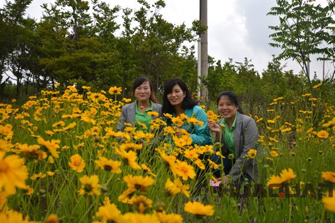 大乳山游記之一： 長江路，讓心情在這里“撒歡撂跤”