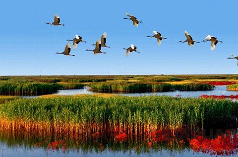 華全發(fā)電機(jī)：接地氣！大濰坊一言不合又?jǐn)€了個(gè)全省 